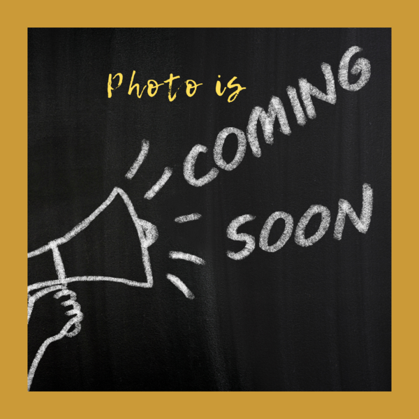 Single Queen Dog Friendly